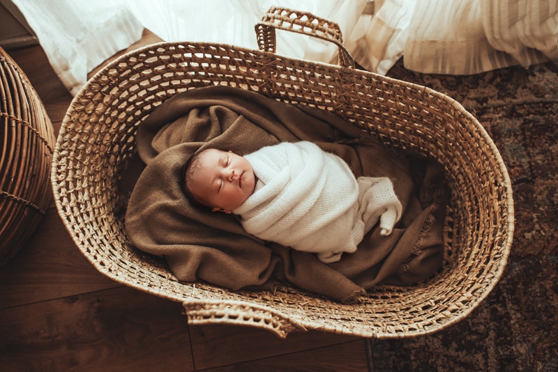 Bay Area Newborn Photography, baby laying in extra large basket